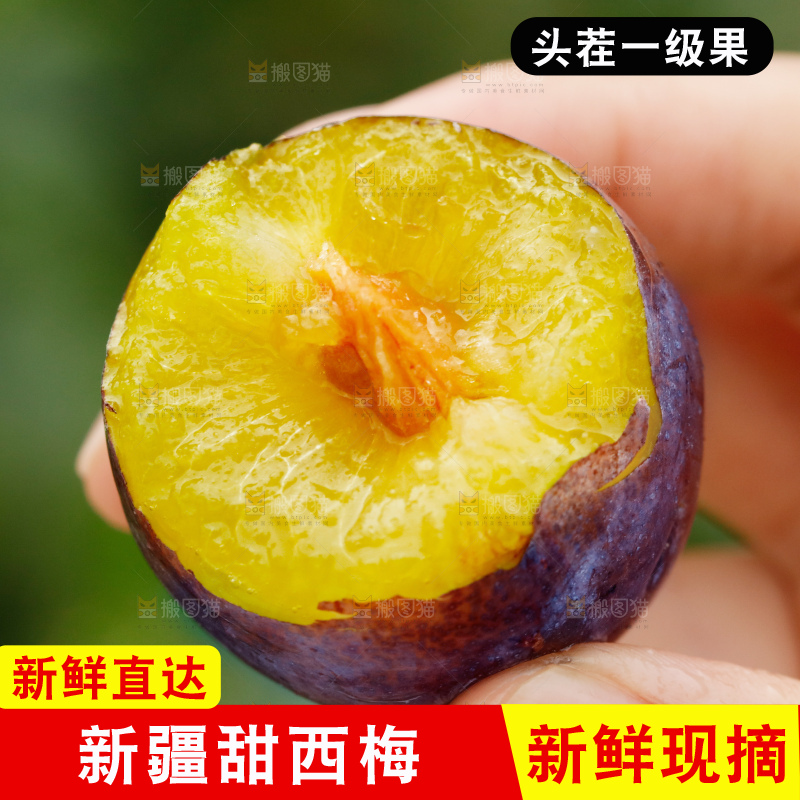 浅底上的西梅