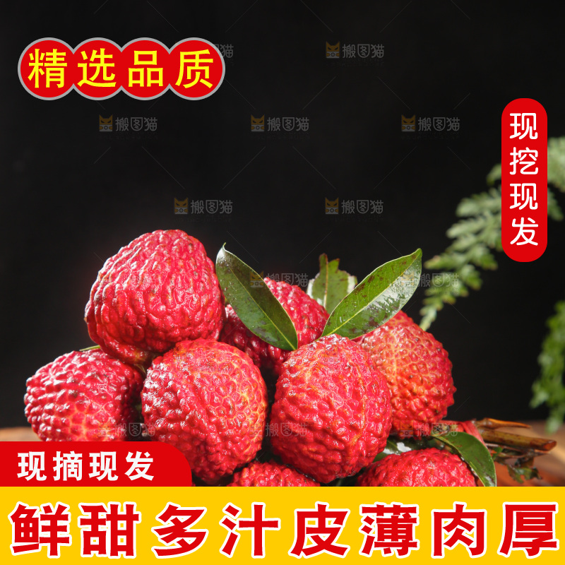 深底上的荔枝王