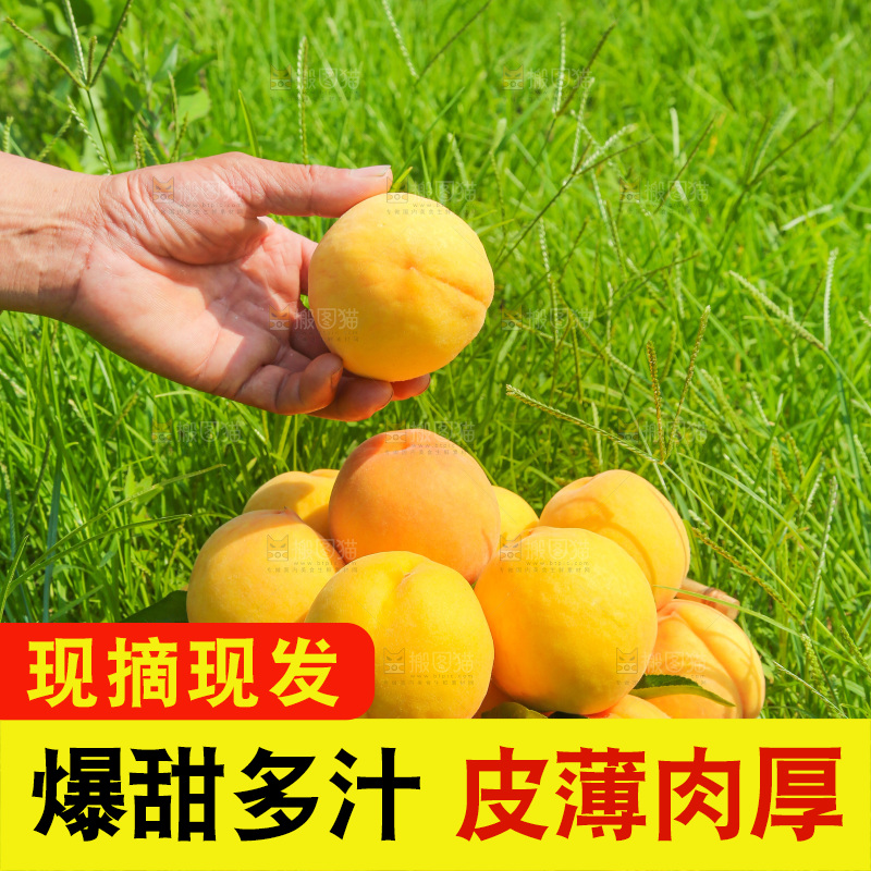 手里拿着黄蜜桃