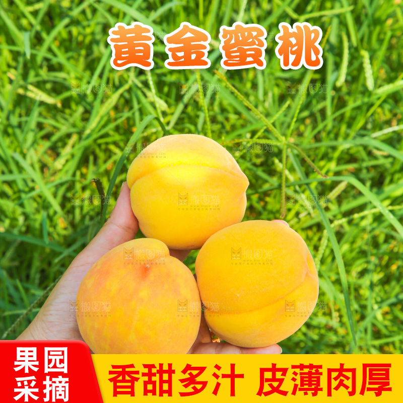 手里拿着黄蜜桃