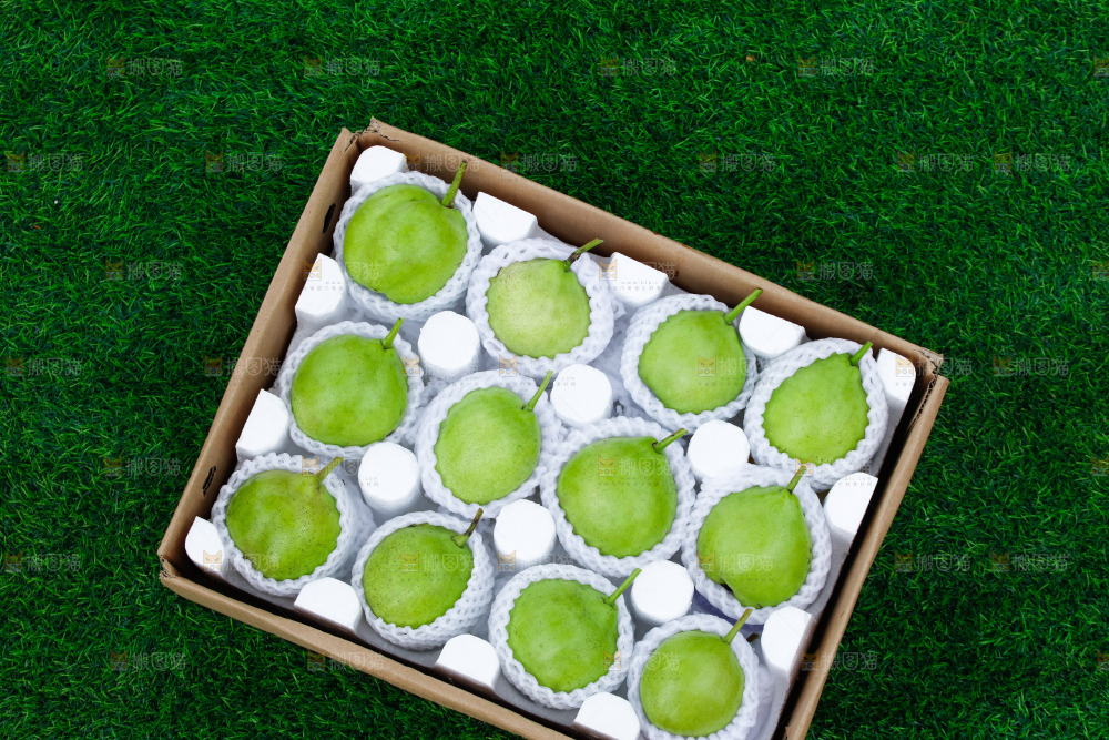 草地上的一箱早酥梨