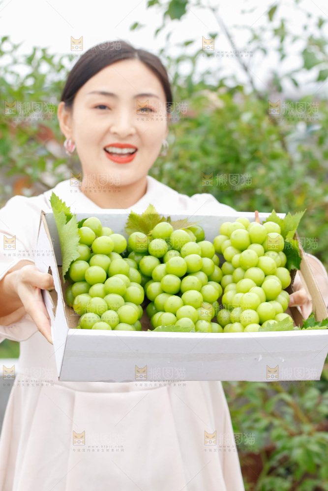 手里拿着阳光玫瑰
