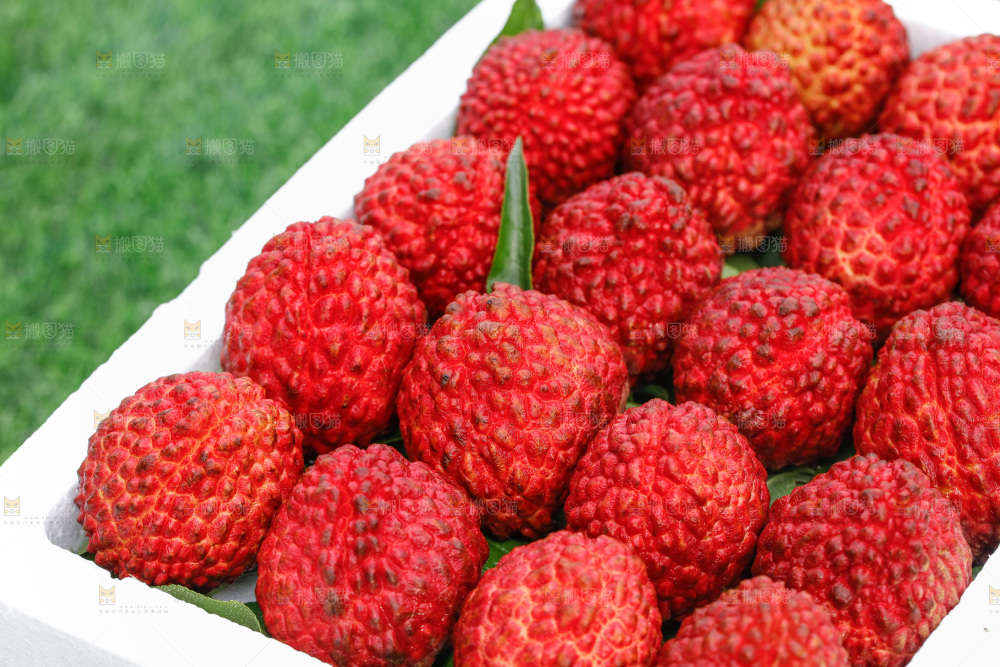 荔枝王