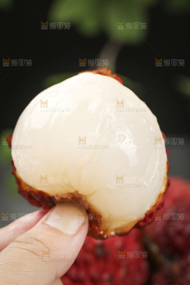 深底上的荔枝王