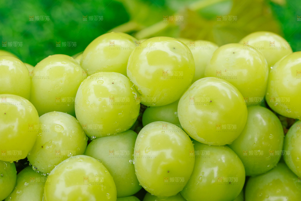 草地上放着阳光玫瑰青提