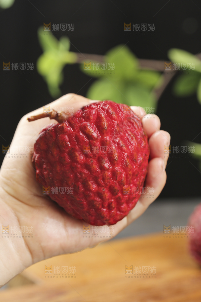 深底上的荔枝王