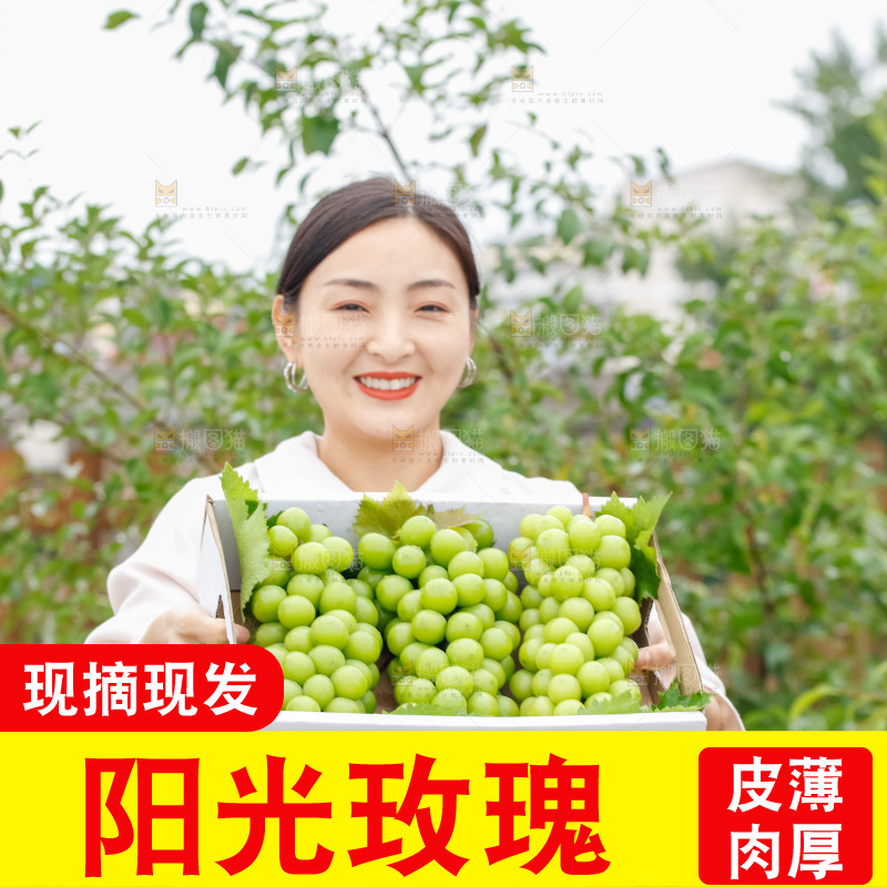 手里拿着阳光玫瑰