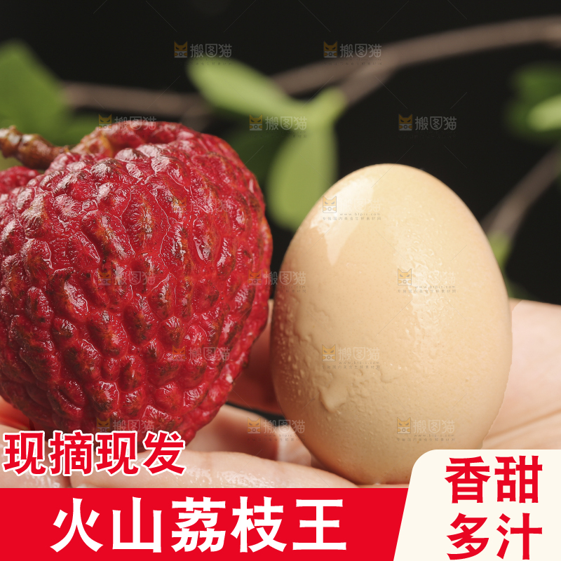 深底上的荔枝王