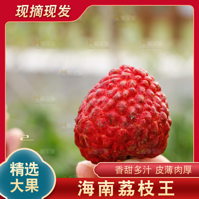 手里拿着荔枝王