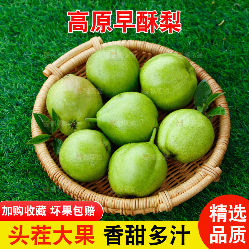 草地上的一箱早酥梨