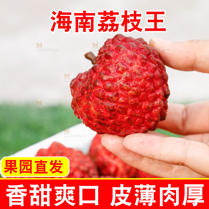 手里拿着荔枝王