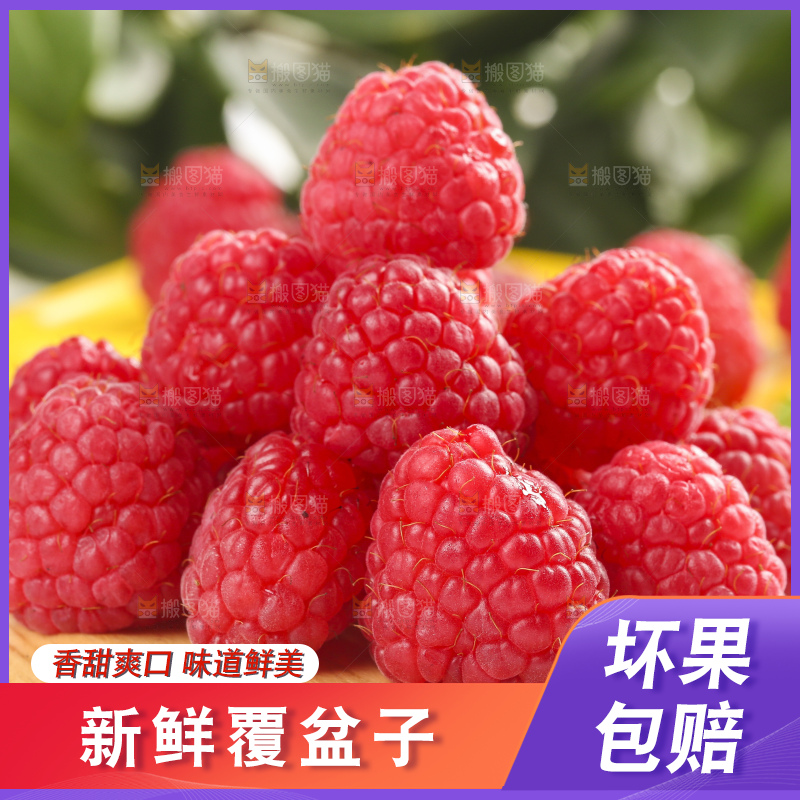 浅底上的新鲜覆盆子