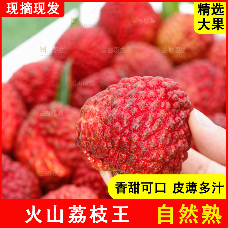 手里拿着荔枝王