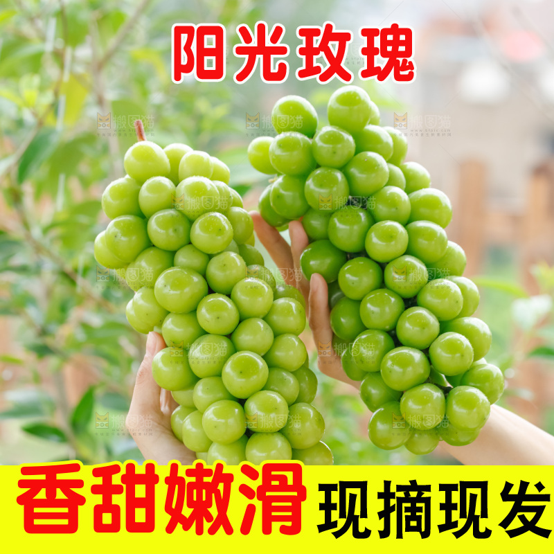 手里拿着阳光玫瑰