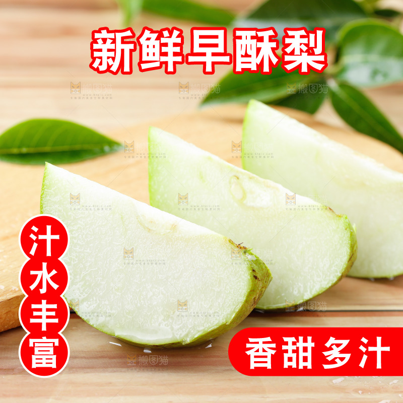 浅底上的早酥梨