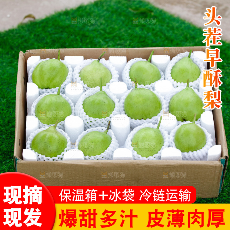 草地上的一箱早酥梨