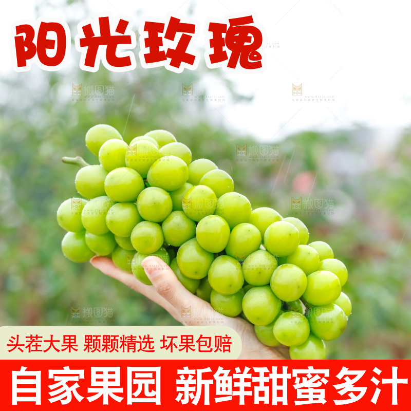 手里拿着阳光玫瑰