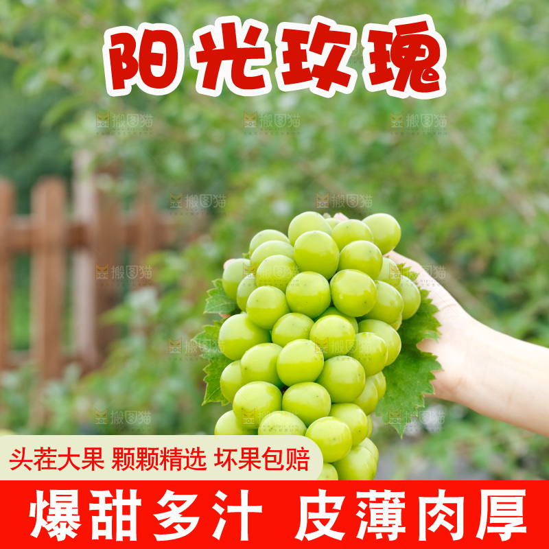 手里拿着阳光玫瑰