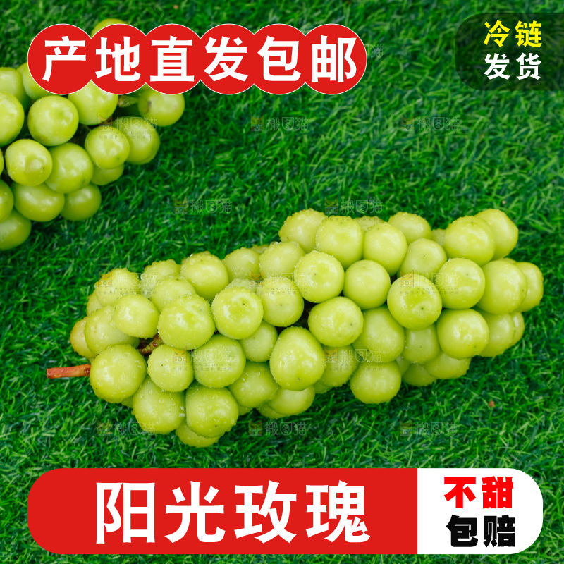 草地上放着阳光玫瑰青提