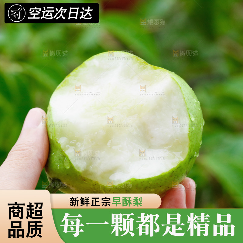 手里拿着早酥梨