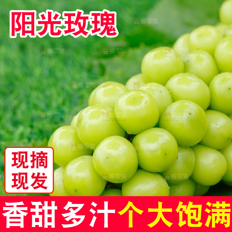 草地上放着阳光玫瑰青提