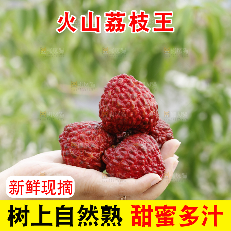 手里拿着荔枝王