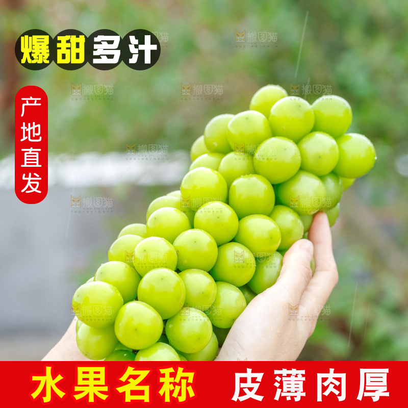 手里拿着阳光玫瑰