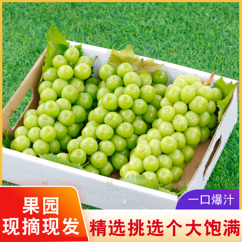 草地上放着阳光玫瑰青提