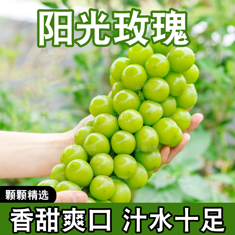 手里拿着阳光玫瑰