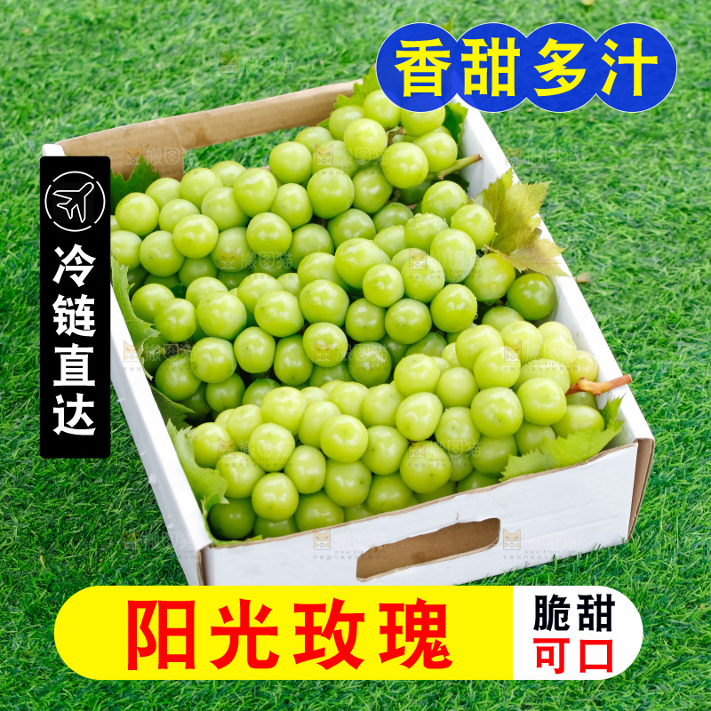 草地上放着阳光玫瑰青提