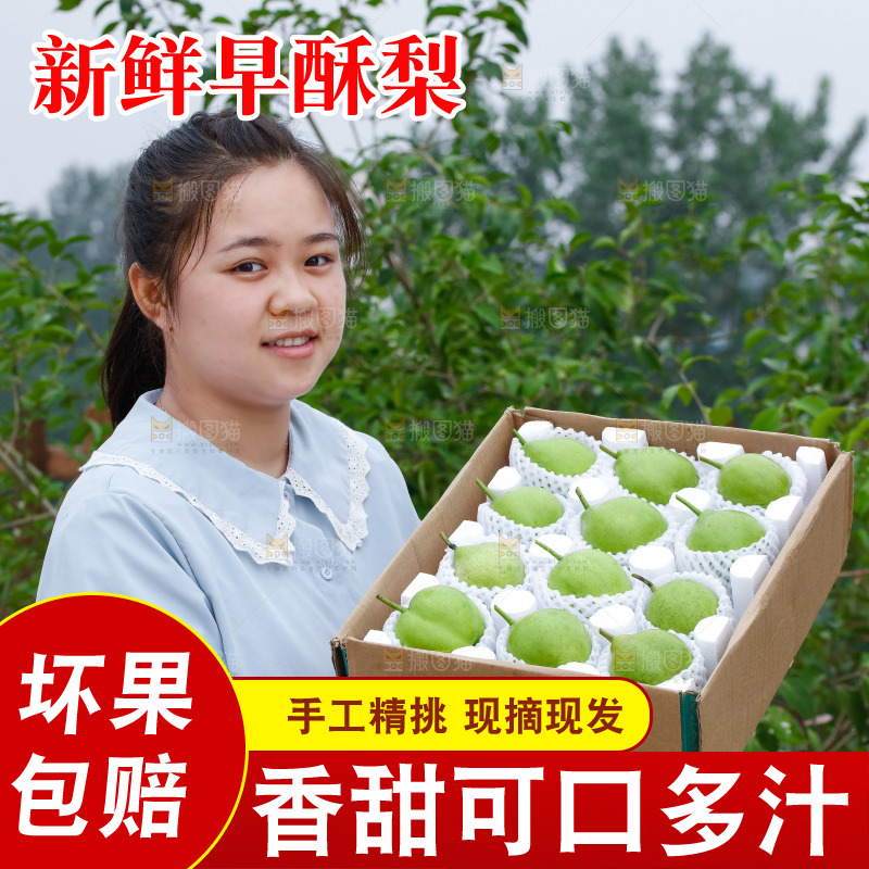手里拿着早酥梨