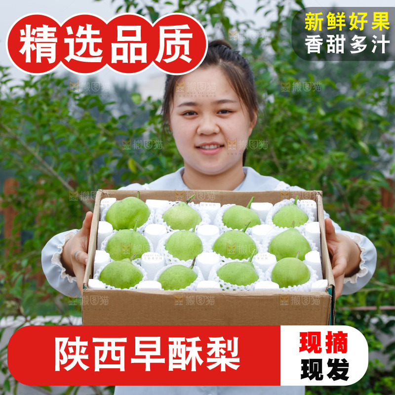 手里拿着早酥梨