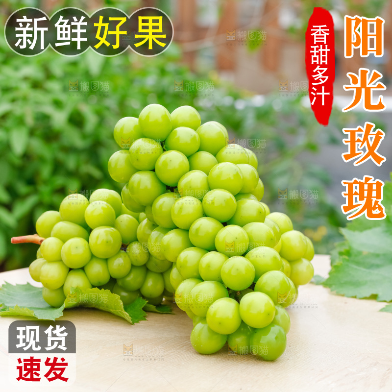 草地上放着阳光玫瑰青提