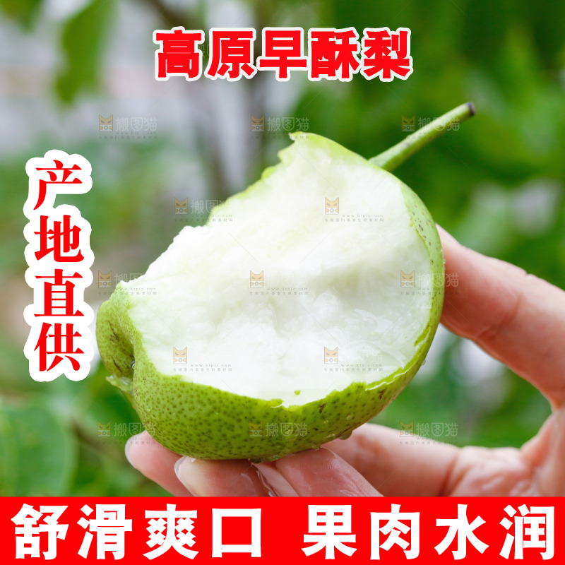 手里拿着早酥梨
