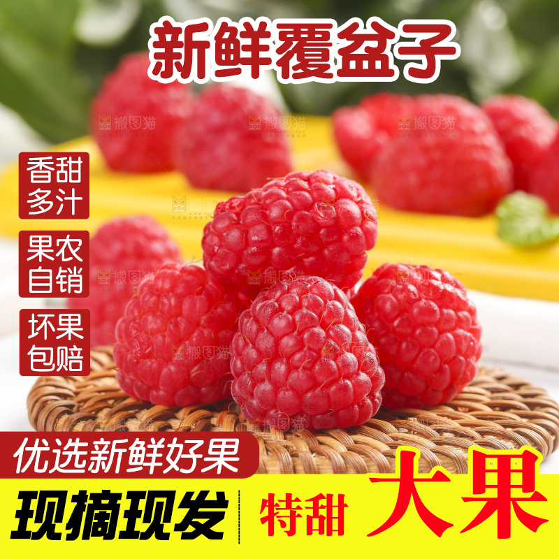 浅底上的新鲜覆盆子
