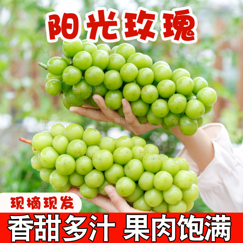 手里拿着阳光玫瑰