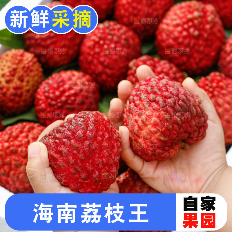 手里拿着荔枝王