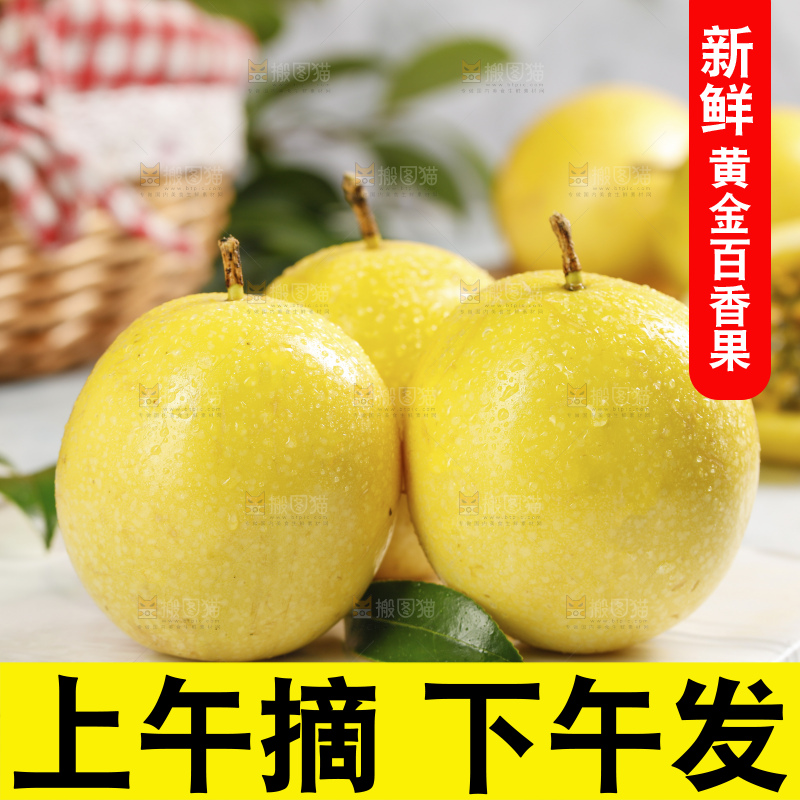 浅底上的黄金百香果