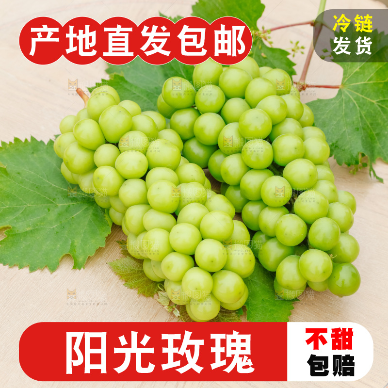 草地上放着阳光玫瑰青提