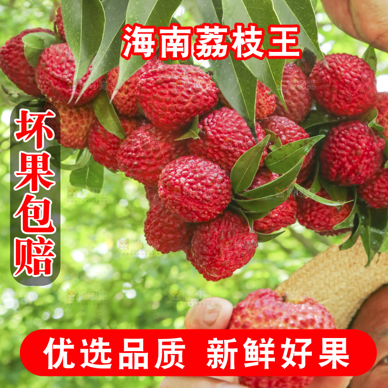 手里拿着荔枝王