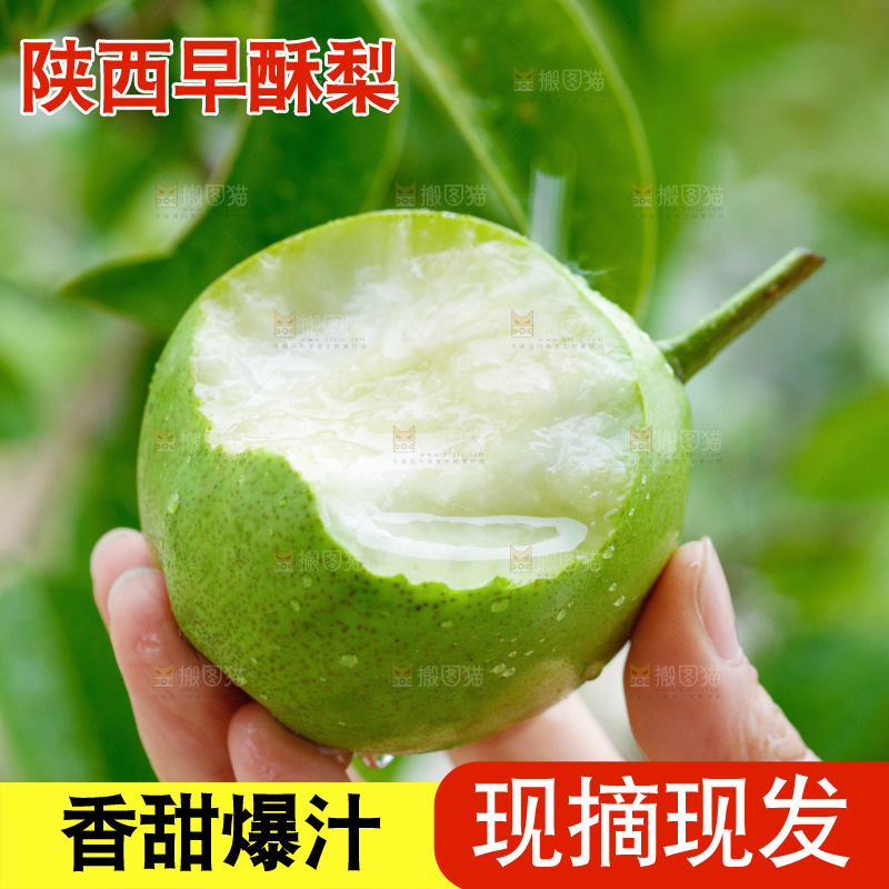 手里拿着早酥梨