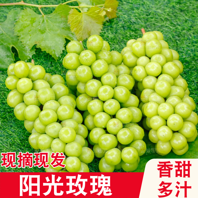 草地上放着阳光玫瑰青提