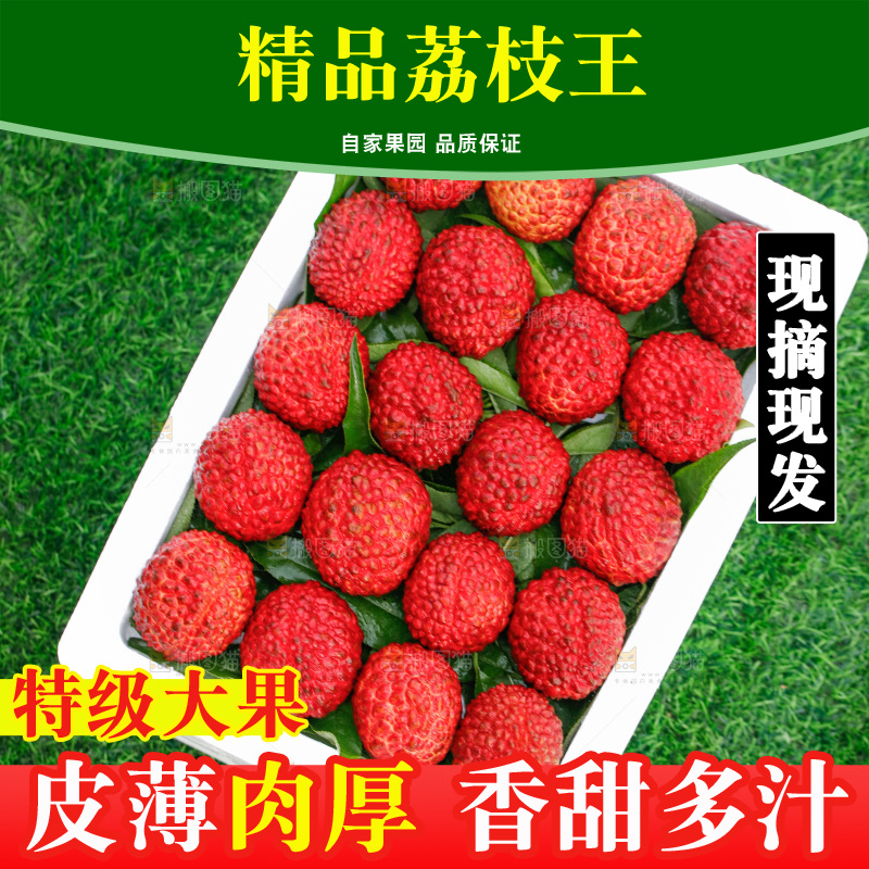 草地上的放着荔枝王