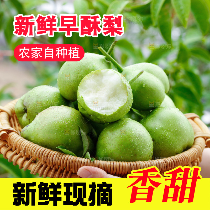 手里拿着早酥梨