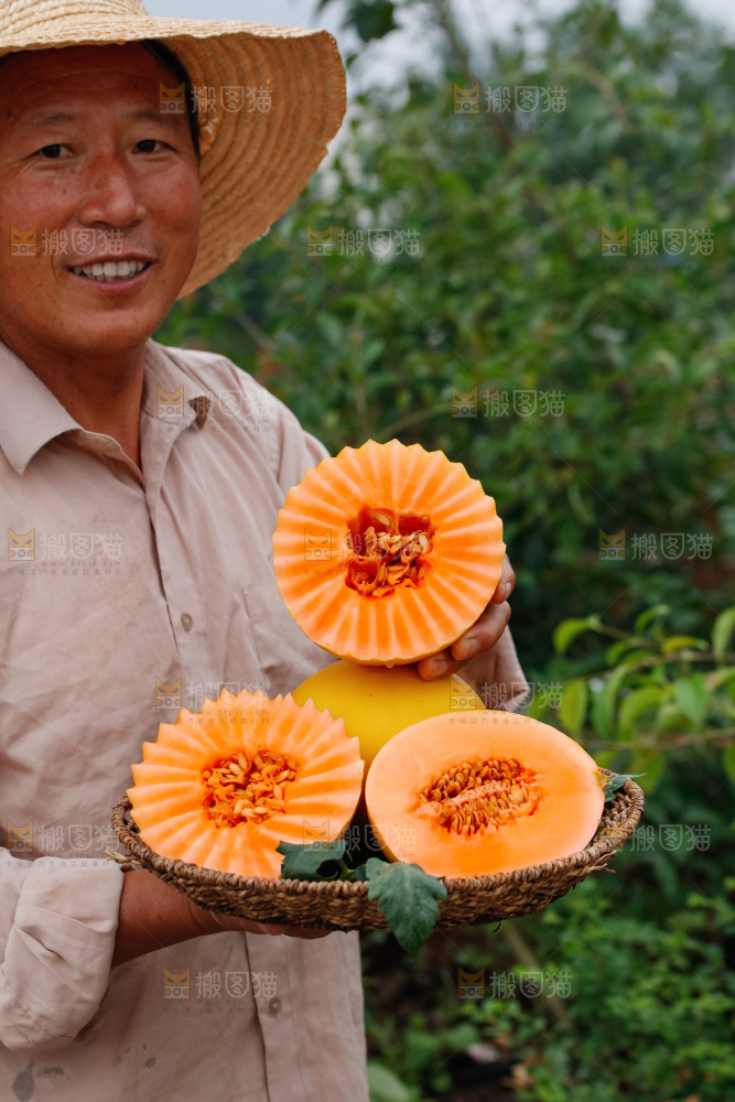 手里拿着的黄河蜜瓜