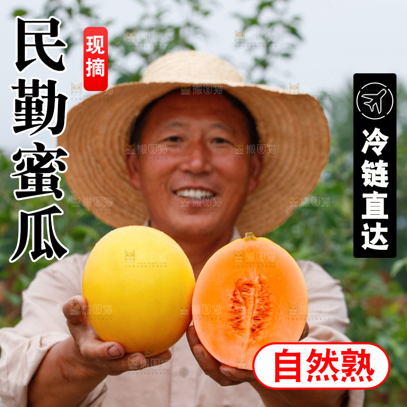 手里拿着的黄河蜜瓜