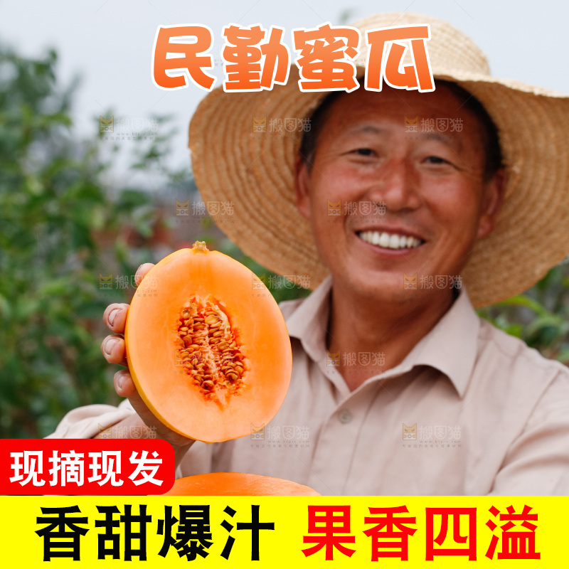手里拿着的黄河蜜瓜