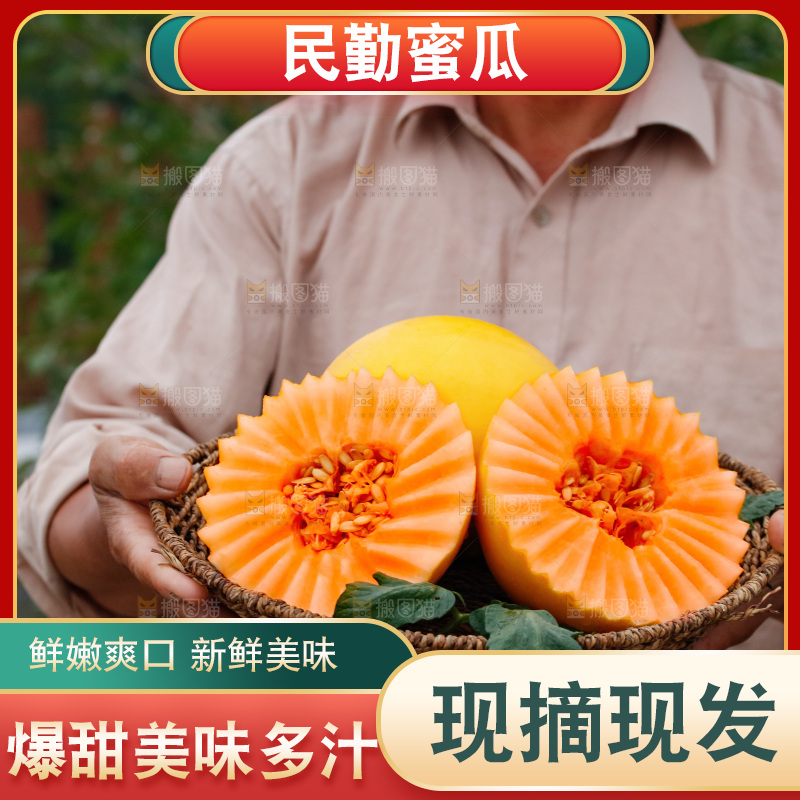 手里拿着的黄河蜜瓜