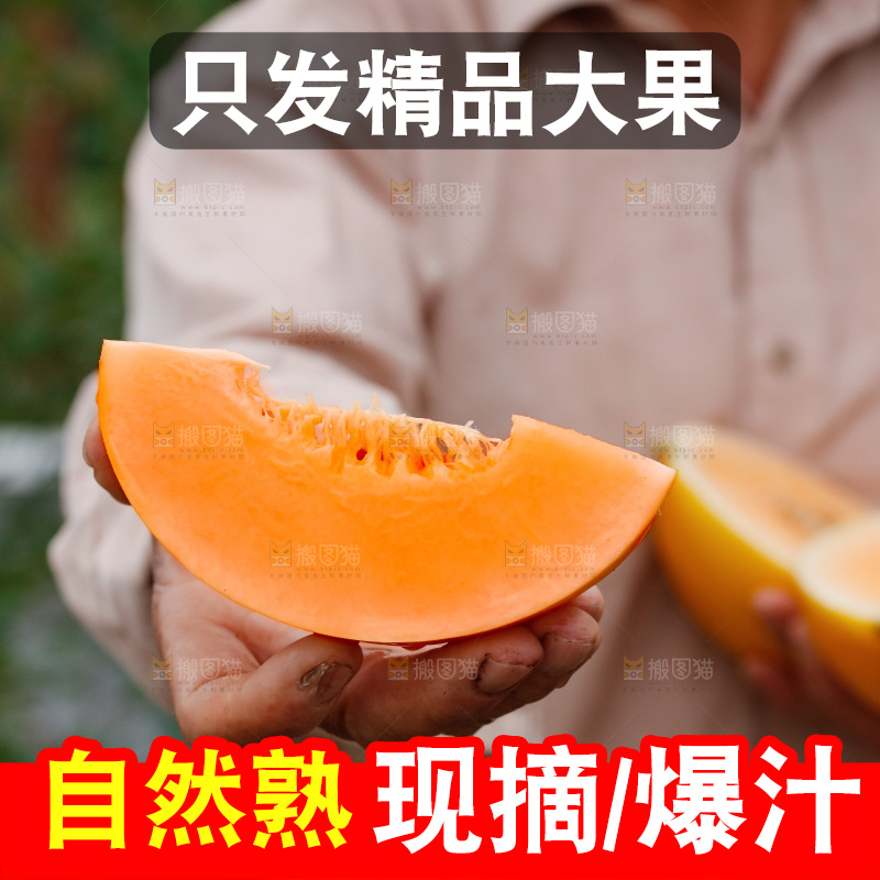 手里拿着的黄河蜜瓜