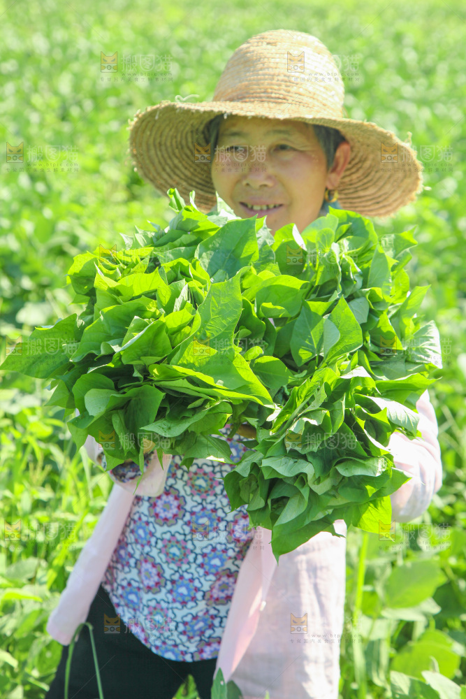 手里拿着苕尖